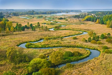Zdjęcie: