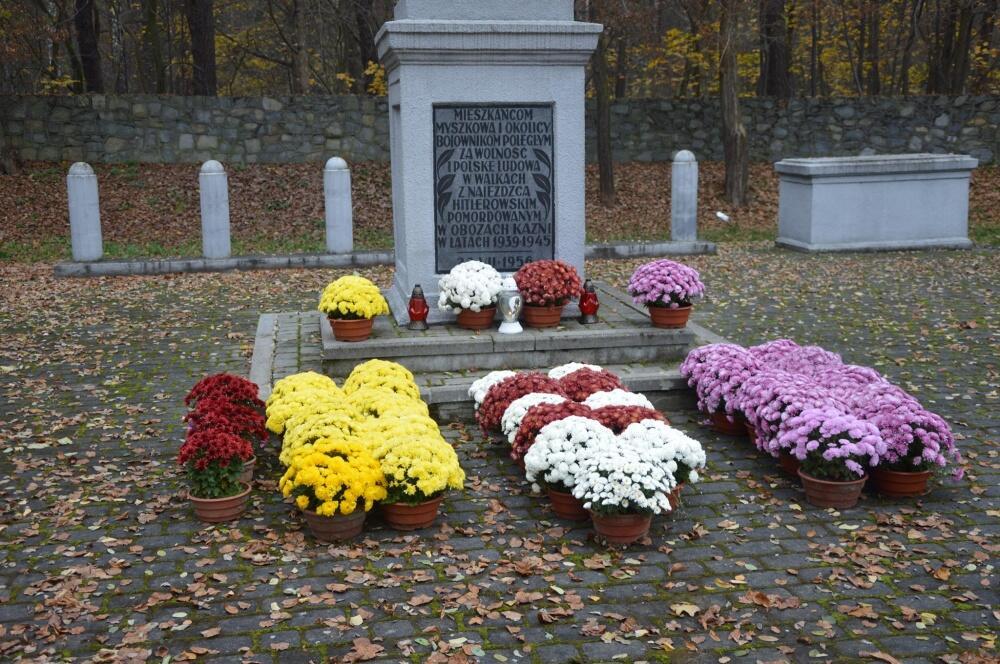 Zdjęcie: 