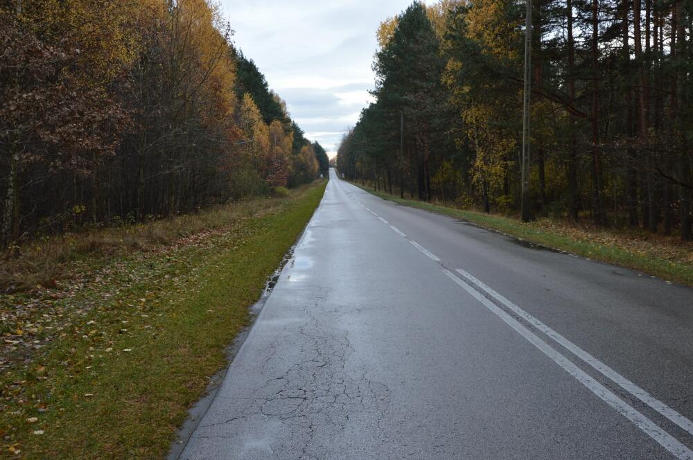 Zdjęcie: 