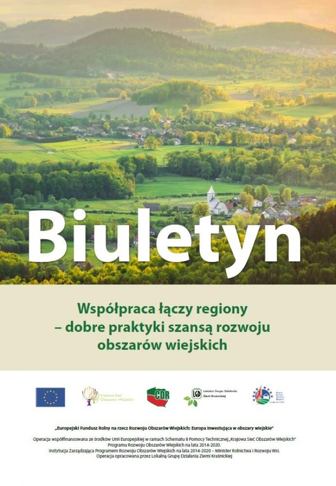 Zdjęcie: 