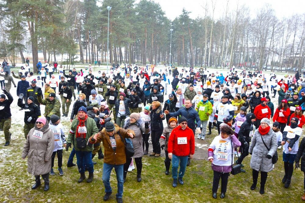 Zdjęcie: 