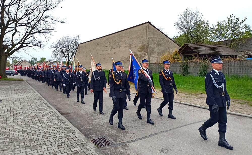 Zdjęcie: 