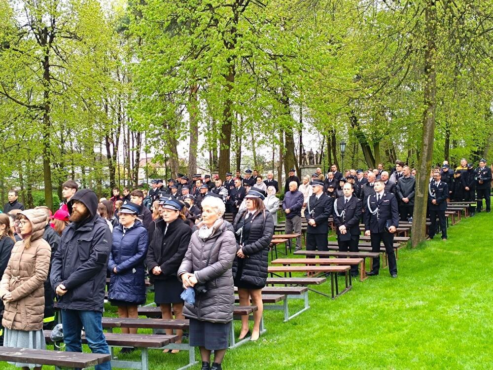 Zdjęcie: 