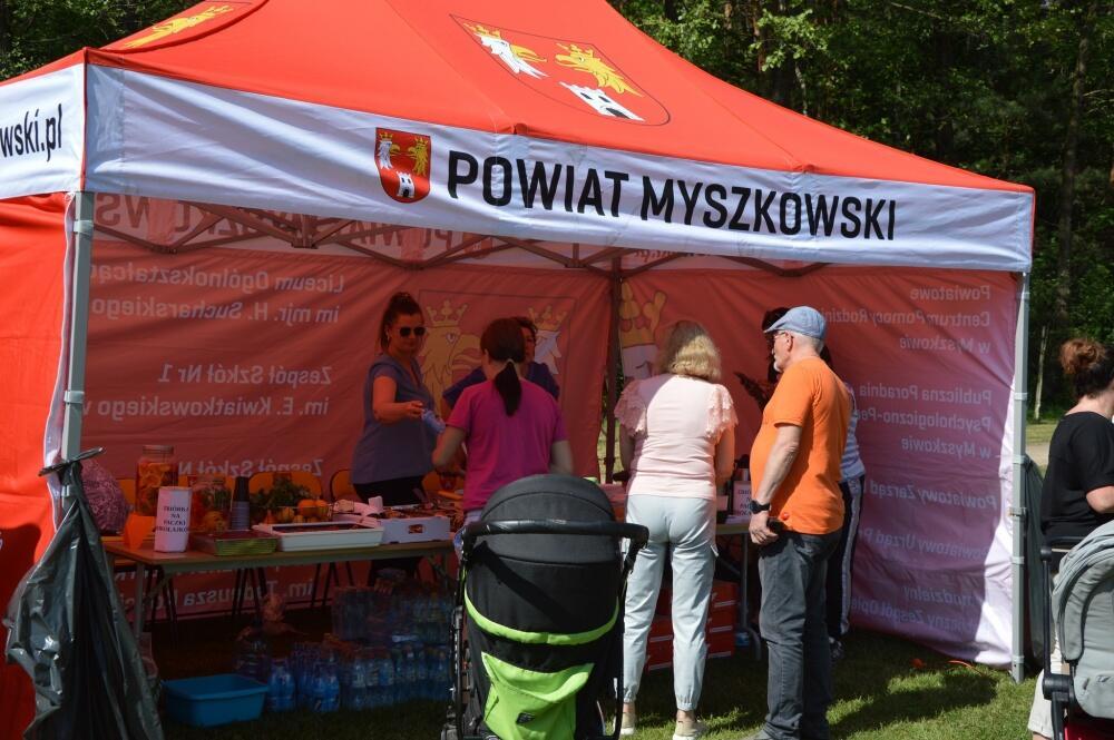 Zdjęcie: 