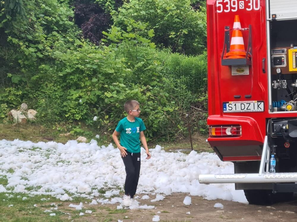 Zdjęcie: 
