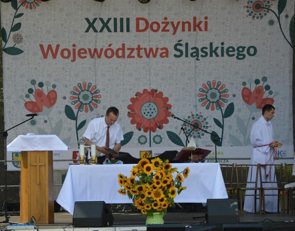 Zdjęcie: 