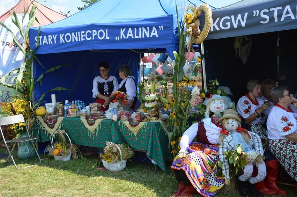 Zdjęcie: 
