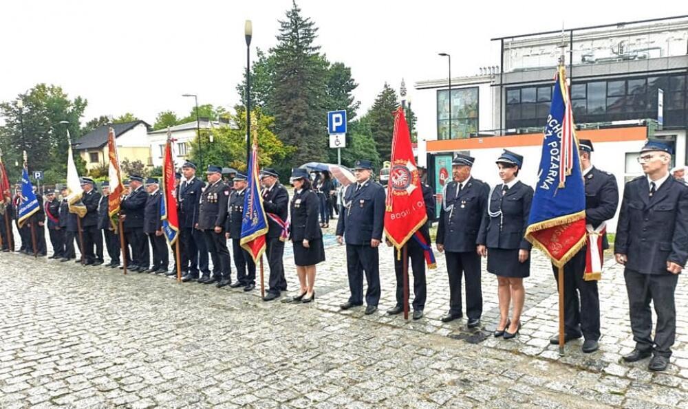 Zdjęcie: 