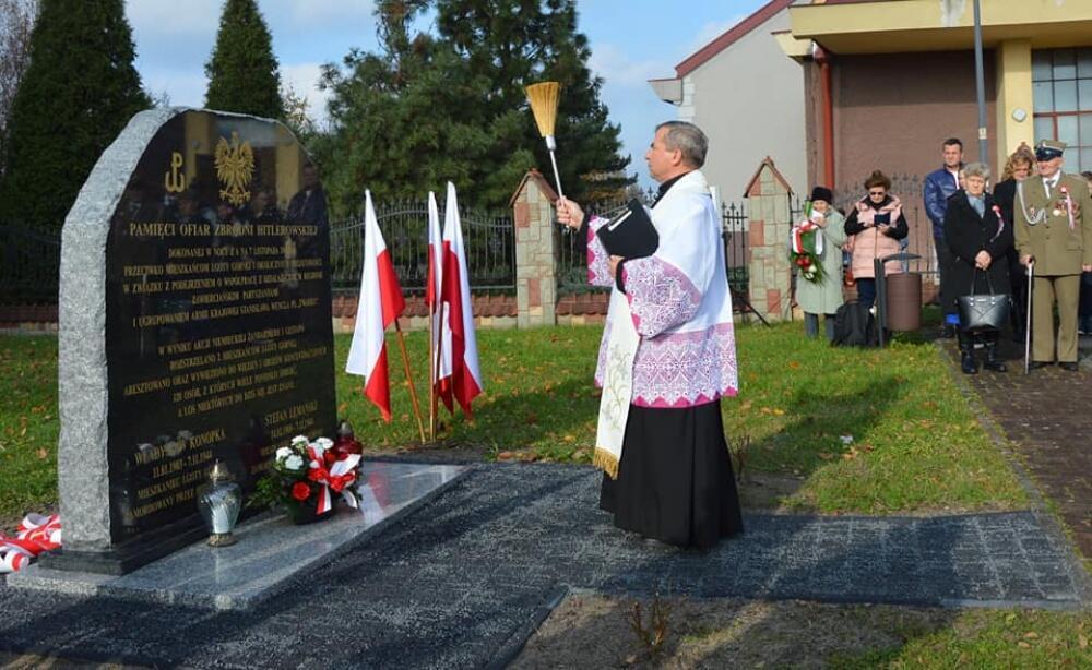 Zdjęcie: 