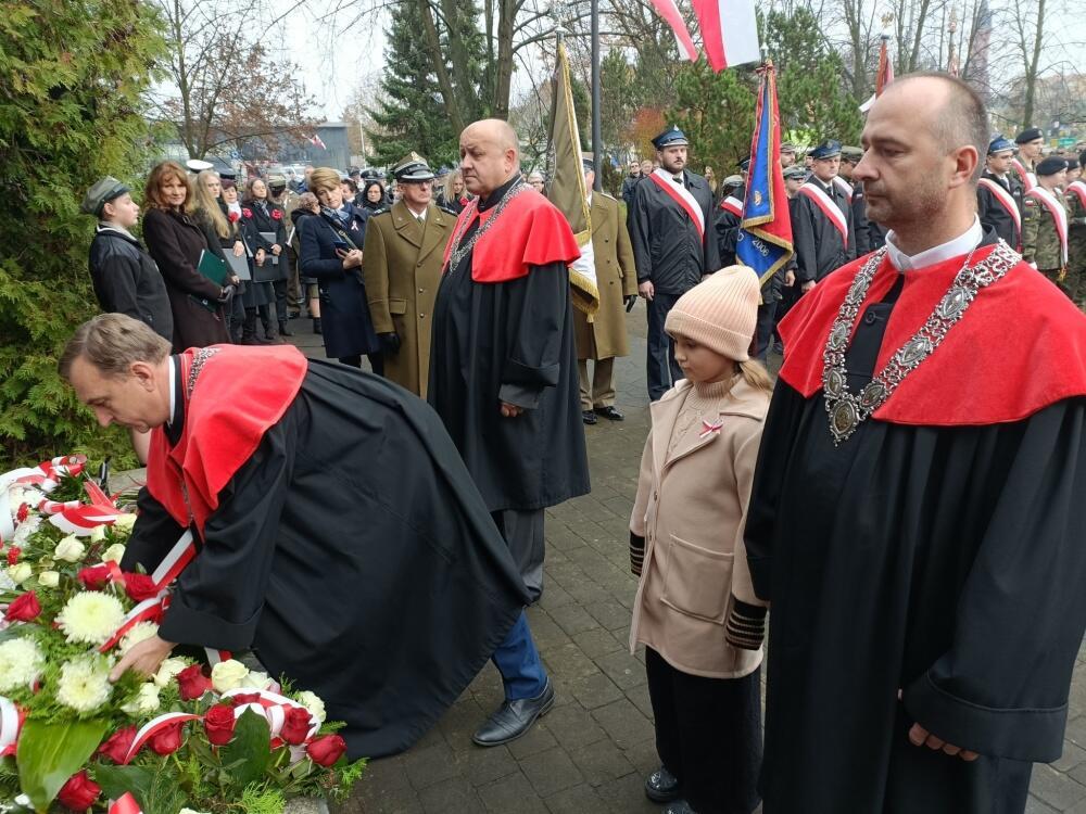 Zdjęcie: 