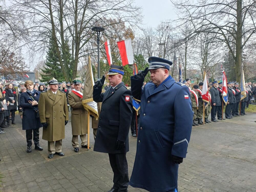 Zdjęcie: 