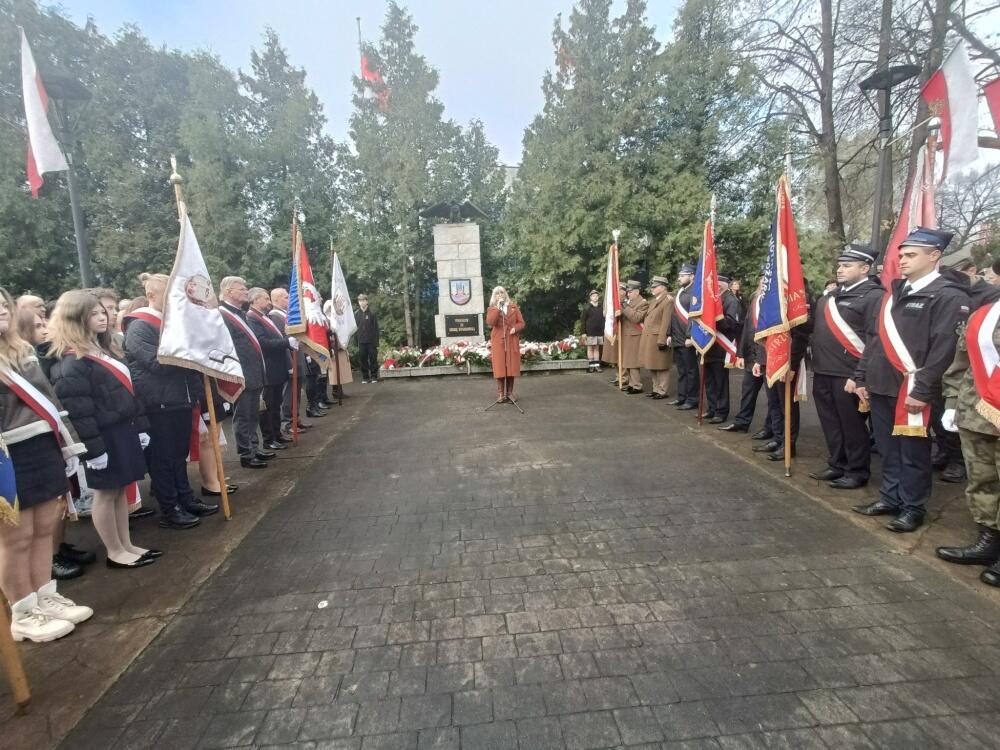 Zdjęcie: 