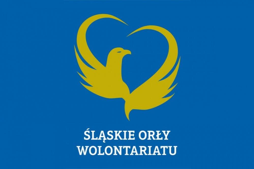 Zdjęcie: 