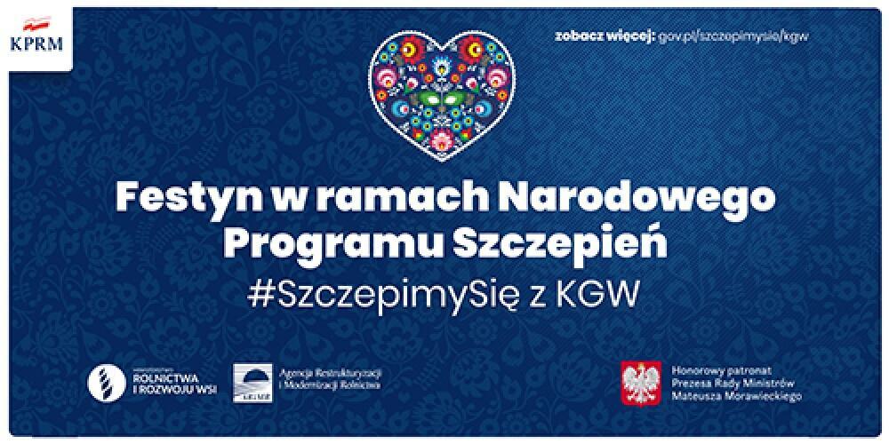 Zdjęcie: 