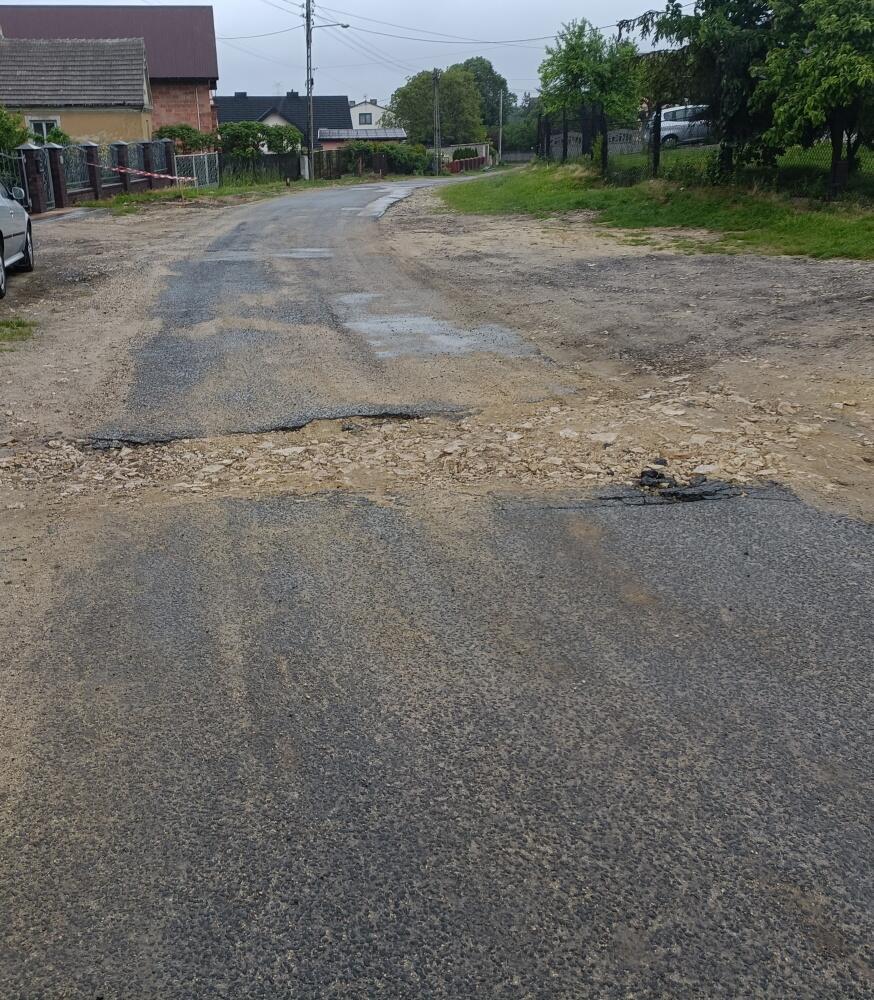Zdjęcie: 