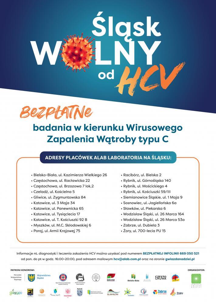 Zdjęcie: 