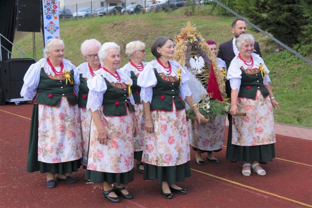 Zdjęcie: 