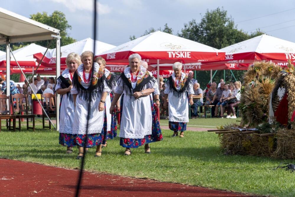 Zdjęcie: 