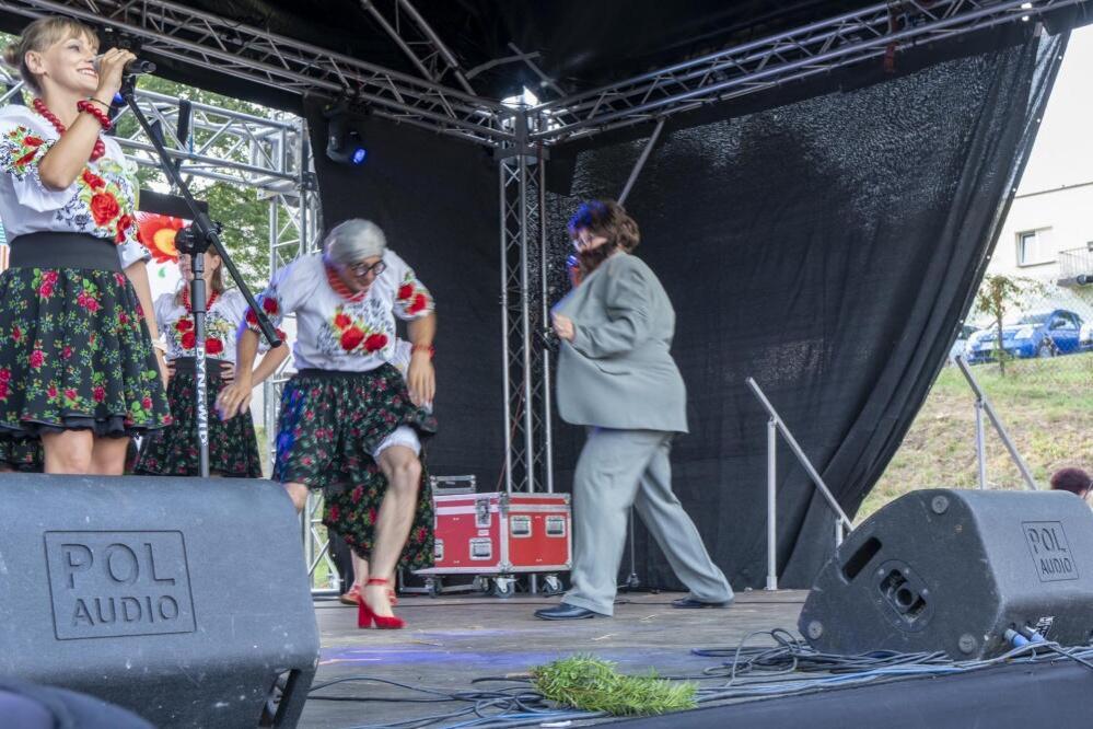 Zdjęcie: 