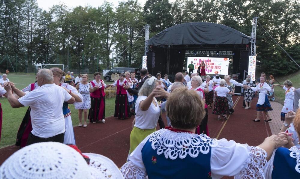 Zdjęcie: 