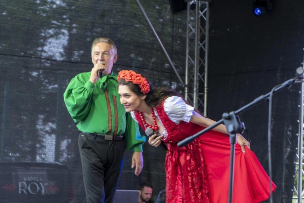 Zdjęcie: 