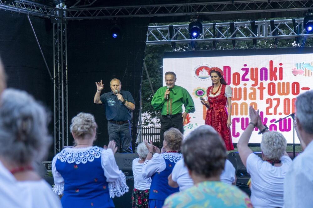 Zdjęcie: 