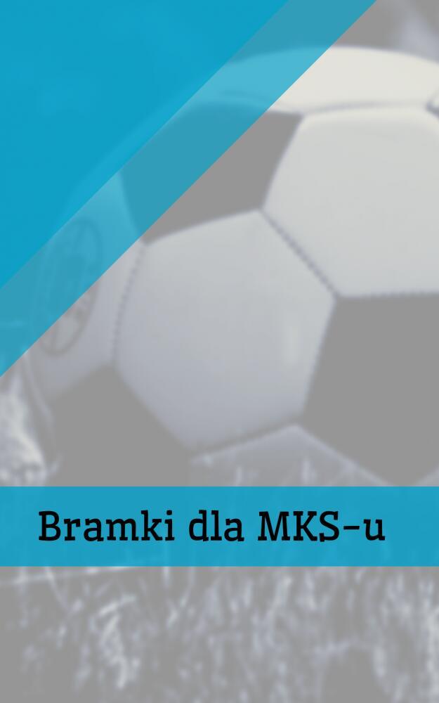 Zdjęcie: 