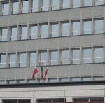 Zdjęcie: flazka_329904842.JPG