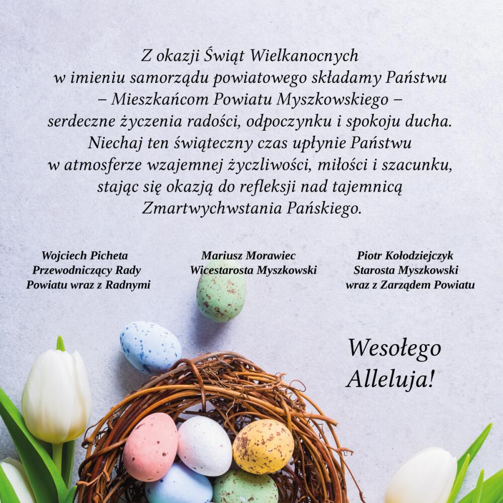 Zdjęcie: 