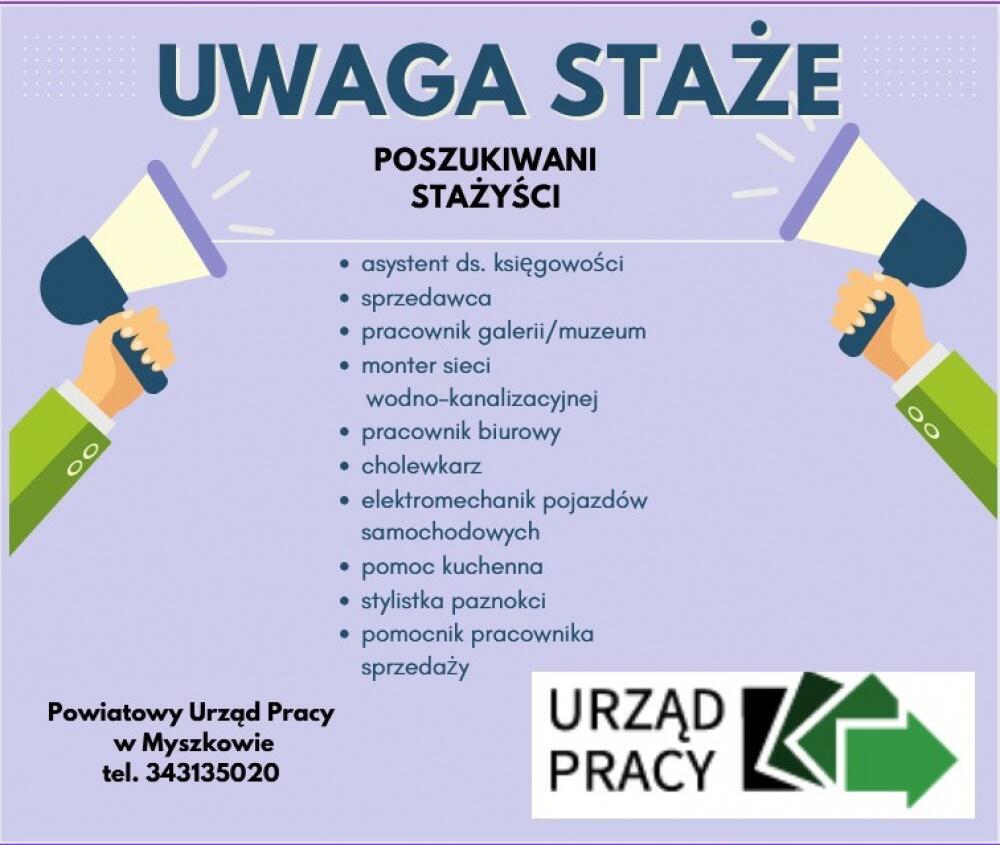 Zdjęcie: 