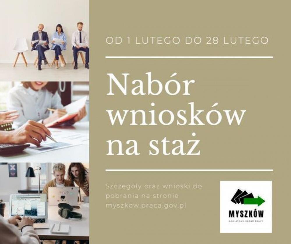 Zdjęcie: 