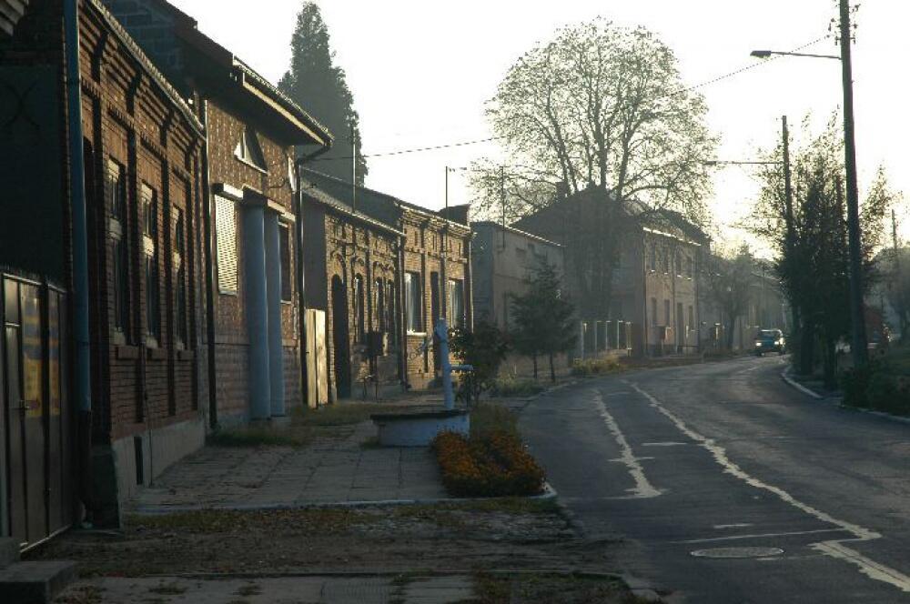 Zdjęcie: 