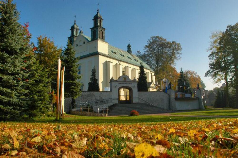 Zdjęcie: 