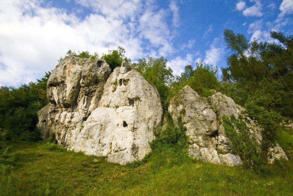 Zdjęcie: 