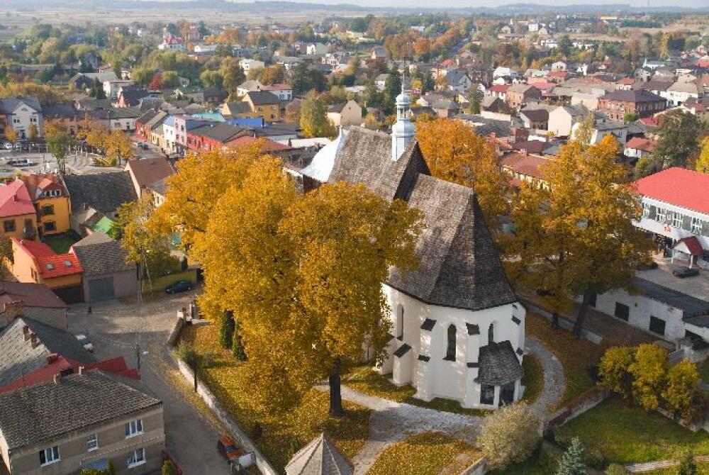 Zdjęcie: 