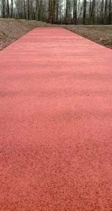 Zdjęcie: