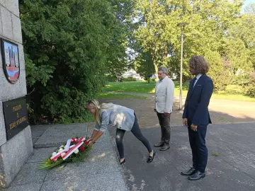 Zdjęcie: