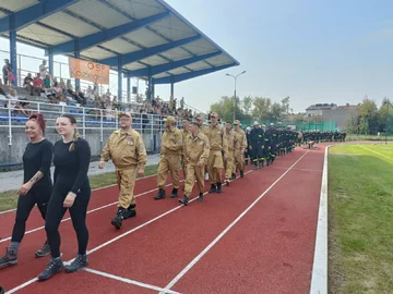 Zdjęcie: