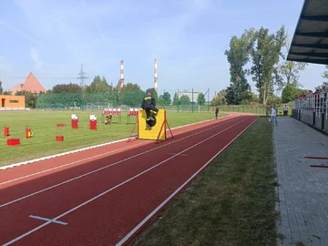 Zdjęcie: