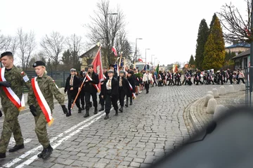 Zdjęcie: