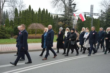 Zdjęcie: