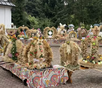 Zdjęcie: