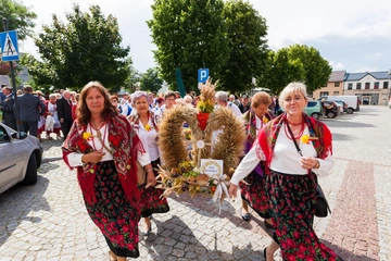 Zdjęcie: