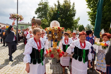 Zdjęcie: