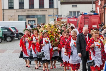 Zdjęcie:
