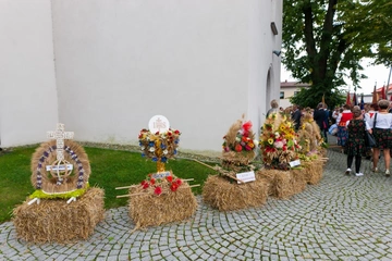 Zdjęcie: