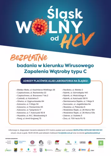 Zdjęcie: