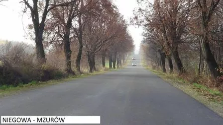 Zdjęcie: Powiat1_317528652.jpg