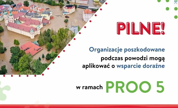 Zdjęcie: